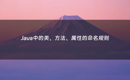 Java中的类、方法、属性的命名规则