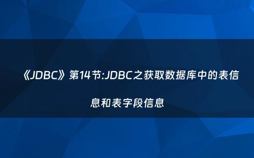 《JDBC》第14节:JDBC之获取数据库中的表信息和表字段信息