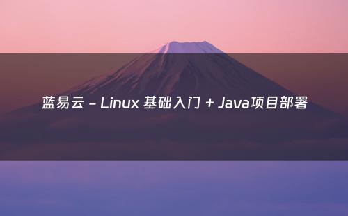 蓝易云 - Linux 基础入门 + Java项目部署