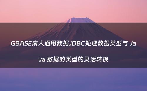 GBASE南大通用数据JDBC处理数据类型与 Java 数据的类型的灵活转换
