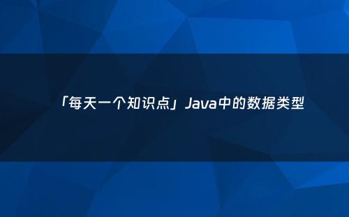 「每天一个知识点」Java中的数据类型