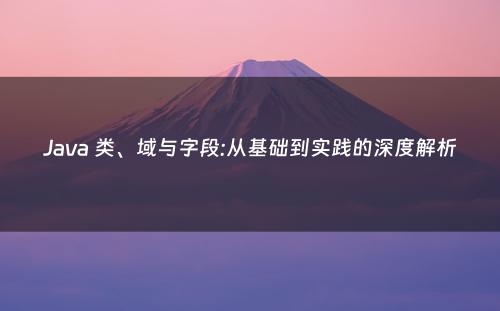 Java 类、域与字段:从基础到实践的深度解析