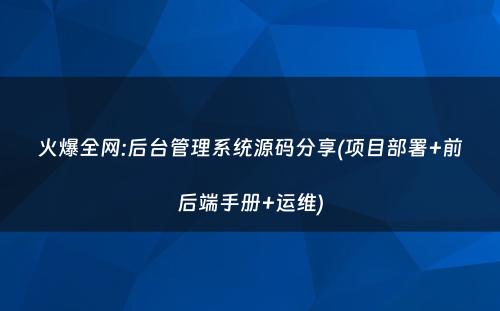 火爆全网:后台管理系统源码分享(项目部署+前后端手册+运维)