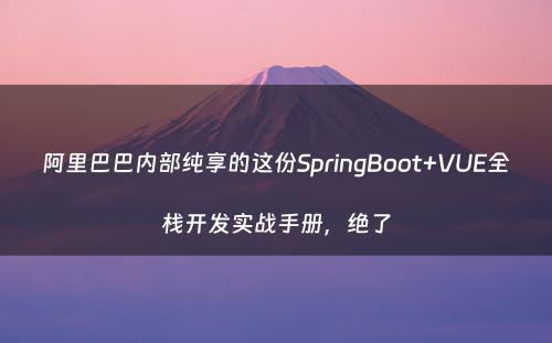 阿里巴巴内部纯享的这份SpringBoot+VUE全栈开发实战手册，绝了