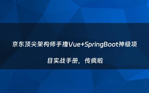 京东顶尖架构师手撸Vue+SpringBoot神级项目实战手册，传疯啦