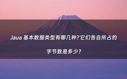 Java 基本数据类型有哪几种?它们各自所占的字节数是多少?