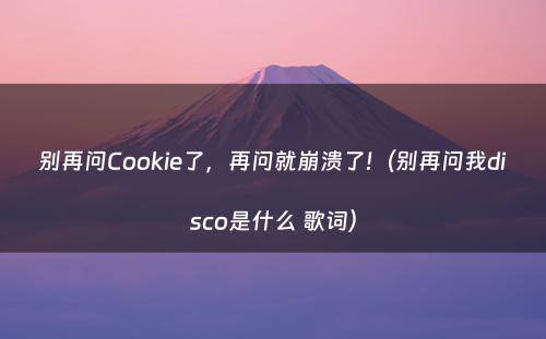 别再问Cookie了，再问就崩溃了!（别再问我disco是什么 歌词）