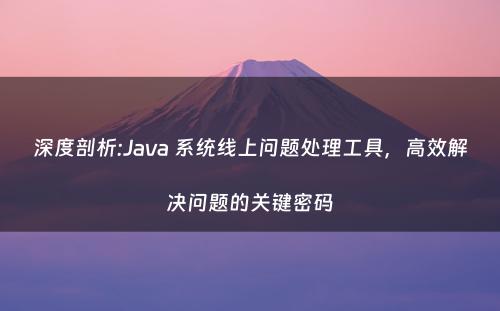 深度剖析:Java 系统线上问题处理工具，高效解决问题的关键密码