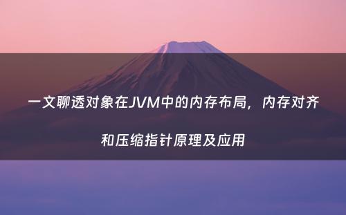 一文聊透对象在JVM中的内存布局，内存对齐和压缩指针原理及应用