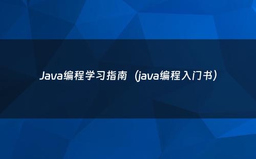 Java编程学习指南（java编程入门书）