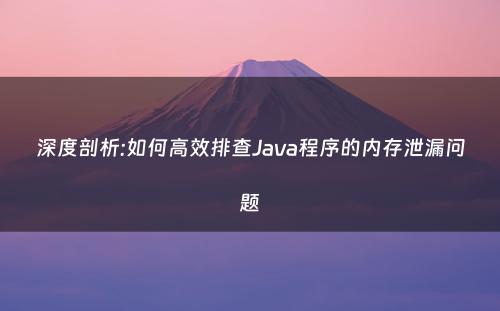 深度剖析:如何高效排查Java程序的内存泄漏问题