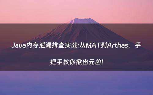 Java内存泄漏排查实战:从MAT到Arthas，手把手教你揪出元凶!