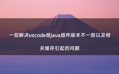 一招解决vscode报java插件版本不一致以及相关缓存引起的问题