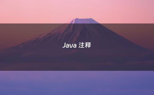 Java 注释