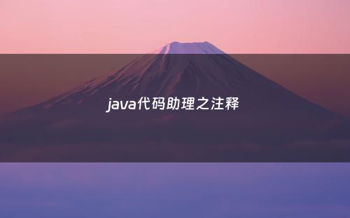 java代码助理之注释