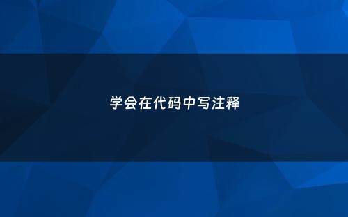 学会在代码中写注释