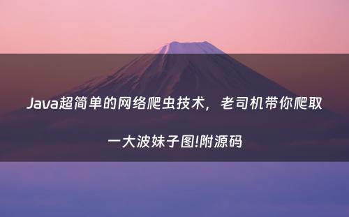 Java超简单的网络爬虫技术，老司机带你爬取一大波妹子图!附源码