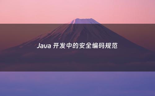 Java 开发中的安全编码规范