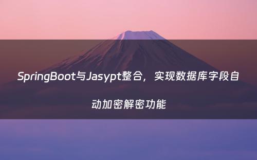 SpringBoot与Jasypt整合，实现数据库字段自动加密解密功能