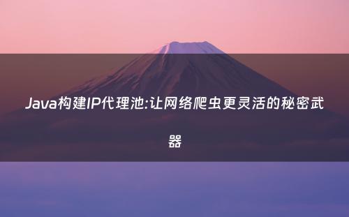 Java构建IP代理池:让网络爬虫更灵活的秘密武器