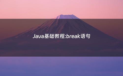 Java基础教程:break语句