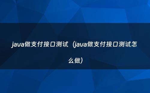 java做支付接口测试（java做支付接口测试怎么做）