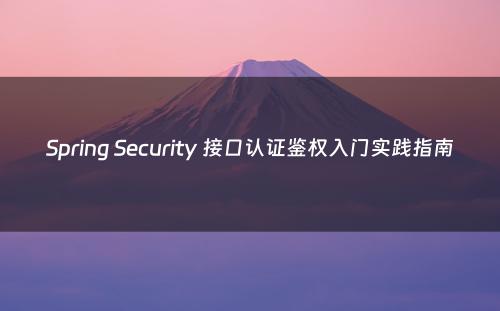 Spring Security 接口认证鉴权入门实践指南