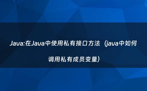 Java:在Java中使用私有接口方法（java中如何调用私有成员变量）