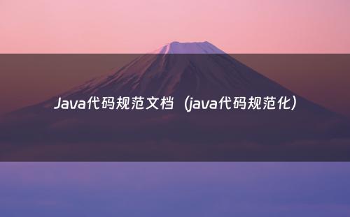Java代码规范文档（java代码规范化）