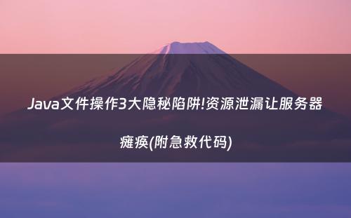 Java文件操作3大隐秘陷阱!资源泄漏让服务器瘫痪(附急救代码)