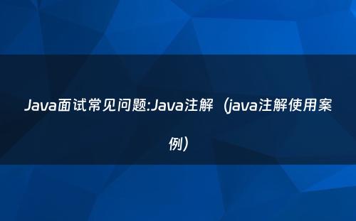 Java面试常见问题:Java注解（java注解使用案例）