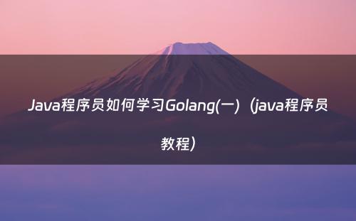 Java程序员如何学习Golang(一)（java程序员教程）