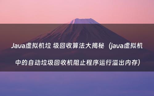 Java虚拟机垃 圾回收算法大揭秘（java虚拟机中的自动垃圾回收机阻止程序运行溢出内存）