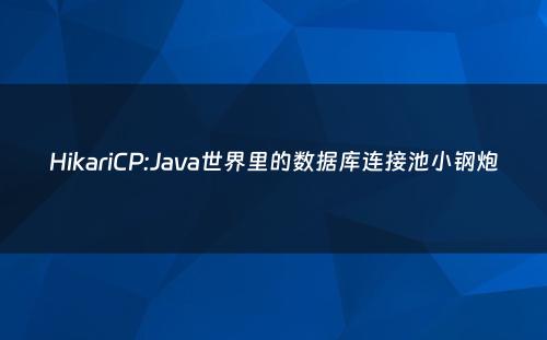 HikariCP:Java世界里的数据库连接池小钢炮