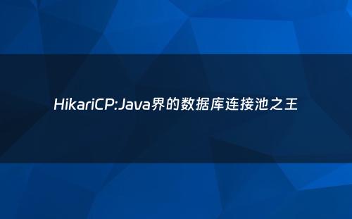 HikariCP:Java界的数据库连接池之王