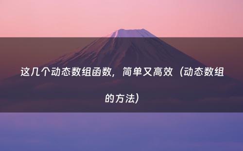 这几个动态数组函数，简单又高效（动态数组的方法）
