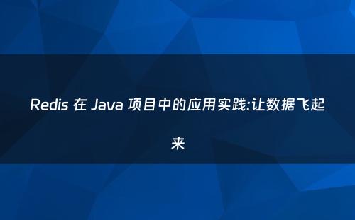 Redis 在 Java 项目中的应用实践:让数据飞起来