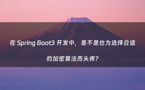 在 Spring Boot3 开发中，是不是也为选择合适的加密算法而头疼?