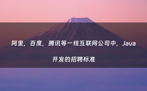 阿里，百度，腾讯等一线互联网公司中，Java开发的招聘标准