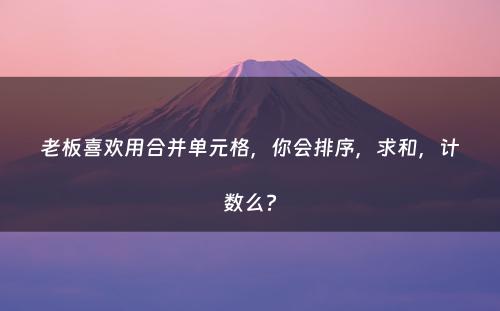 老板喜欢用合并单元格，你会排序，求和，计数么?