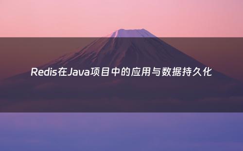 Redis在Java项目中的应用与数据持久化