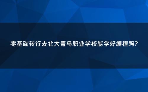 零基础转行去北大青鸟职业学校能学好编程吗?