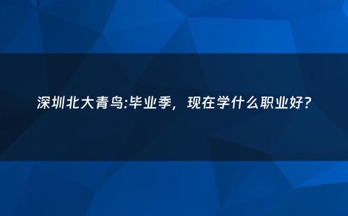 深圳北大青鸟:毕业季，现在学什么职业好?