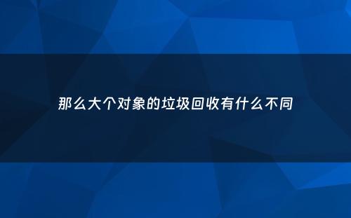 那么大个对象的垃圾回收有什么不同