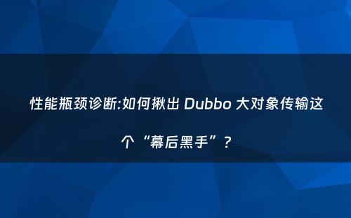 性能瓶颈诊断:如何揪出 Dubbo 大对象传输这个“幕后黑手”?