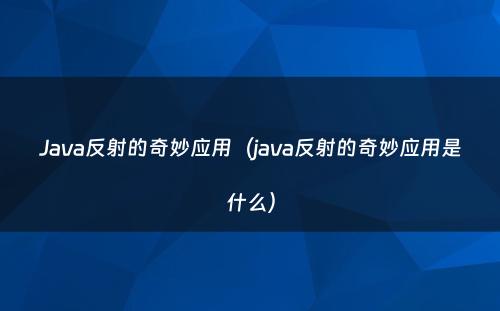 Java反射的奇妙应用（java反射的奇妙应用是什么）