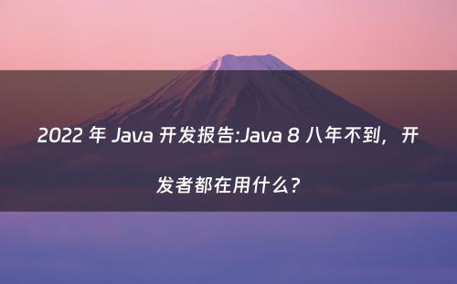 2022 年 Java 开发报告:Java 8 八年不到，开发者都在用什么?