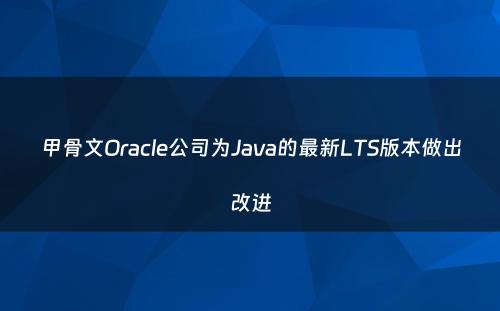 甲骨文Oracle公司为Java的最新LTS版本做出改进