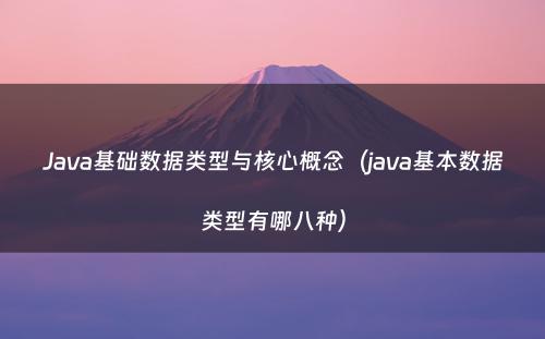 Java基础数据类型与核心概念（java基本数据类型有哪八种）