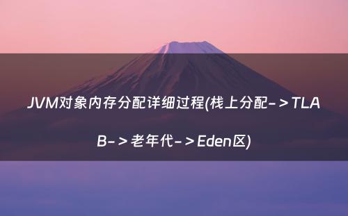 JVM对象内存分配详细过程(栈上分配-＞TLAB-＞老年代-＞Eden区)